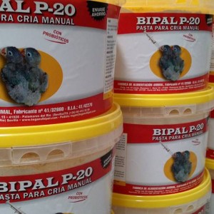 Bipal-P20-Agapornis-papilleros
