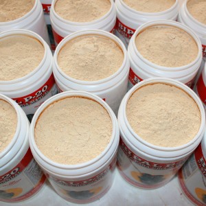 cría-a-mano-agapornis-papilla