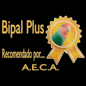 AECA-Agapornis-Bipal