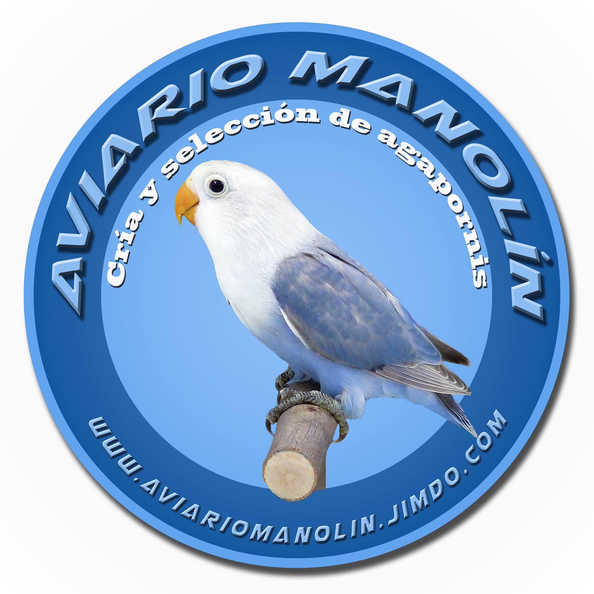 Aviario Manolín Cria y selección de agapornis