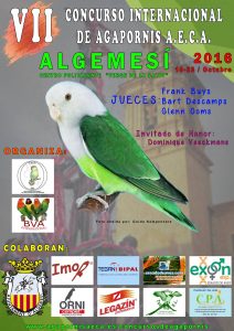 Concurso-agapornis-AECA-2016