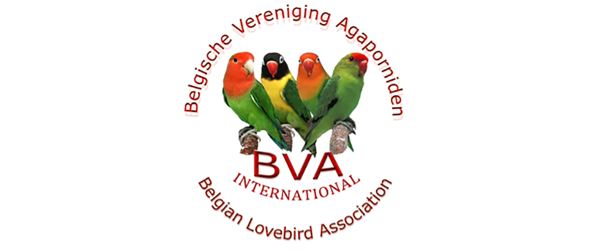 Belgische Vereniging Agaporniden BVA o Sociedad Belga de Agapornis