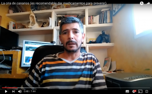 medicación-canarios-luis-ortiz