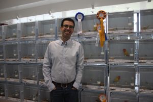 aeca-premios-agapornis