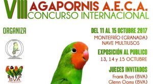 Concurso-Agapornis-AECA