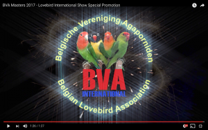 BVA-MASTERS-2017