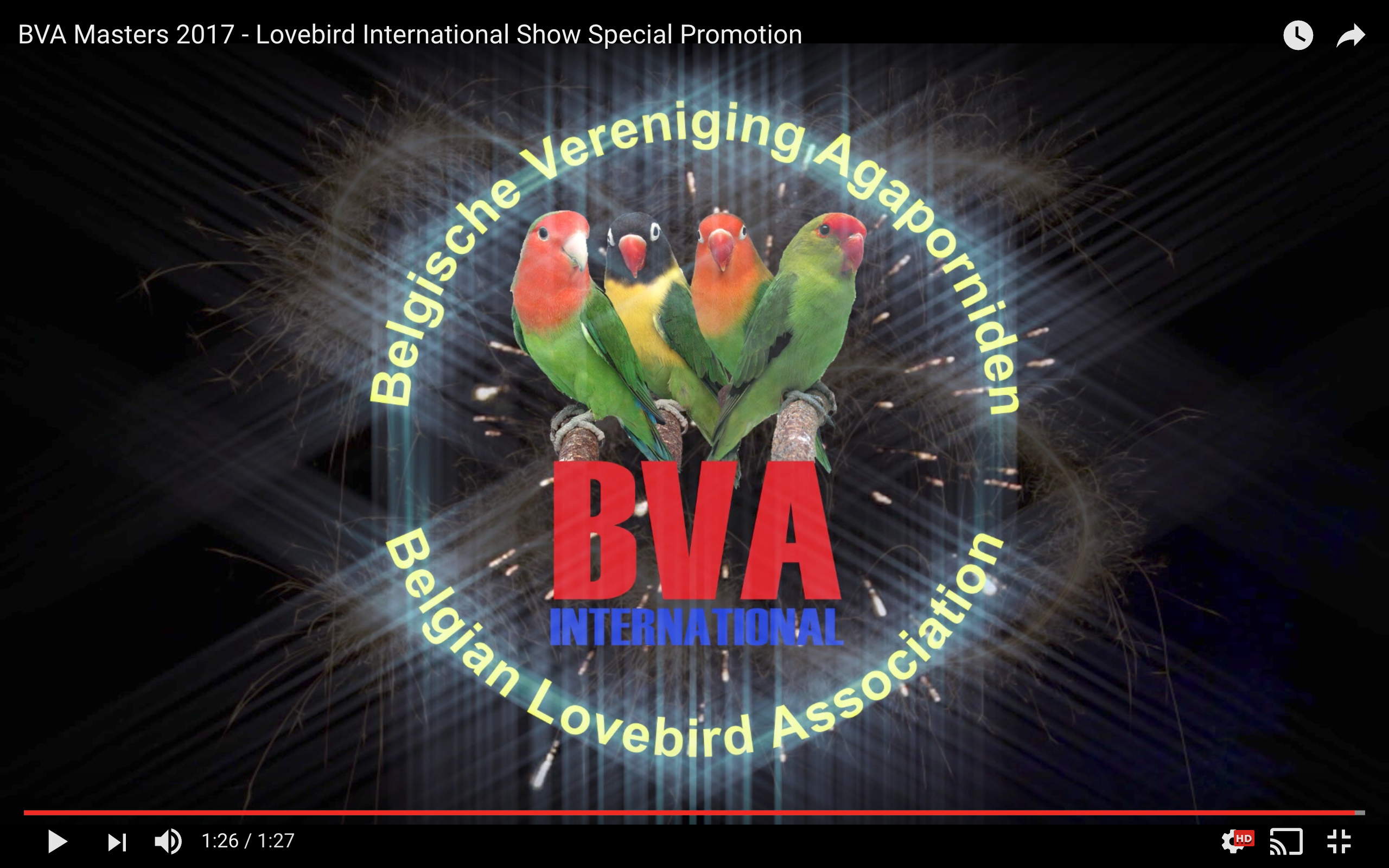 BVA Masters 2017: Lovebird International Show