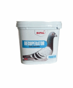 Bipal-Recuperator-Palomas-Mensajeras