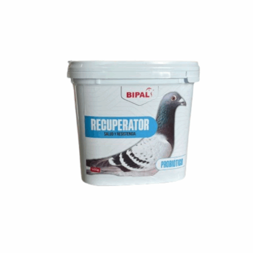 Bipal-Recuperator-Palomas-Mensajeras